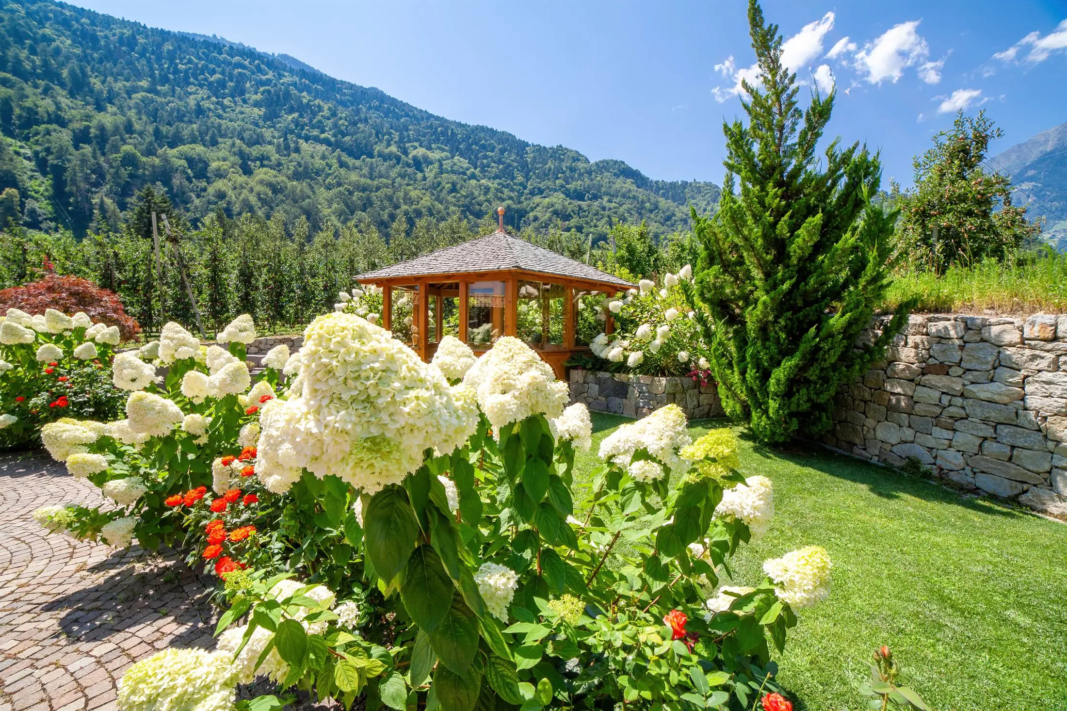 haus_tratter_garten-0844-HDR-Modifica.jpg